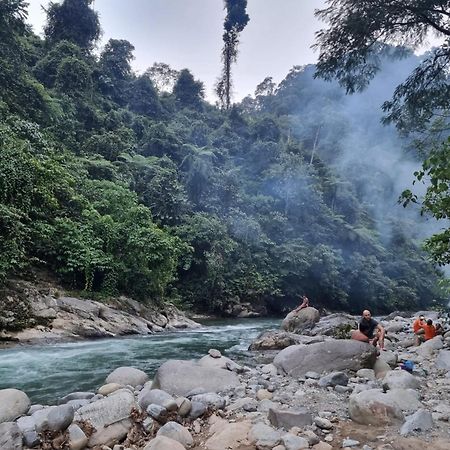 Lucky Bamboo'Bungalows-Resto And Orangutan Jungle Trekking Tours 부킷 라왕 외부 사진