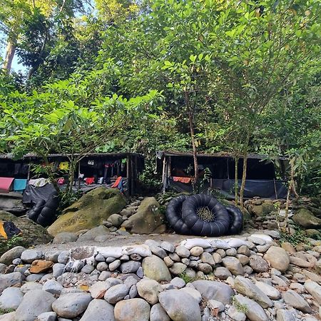 Lucky Bamboo'Bungalows-Resto And Orangutan Jungle Trekking Tours 부킷 라왕 외부 사진