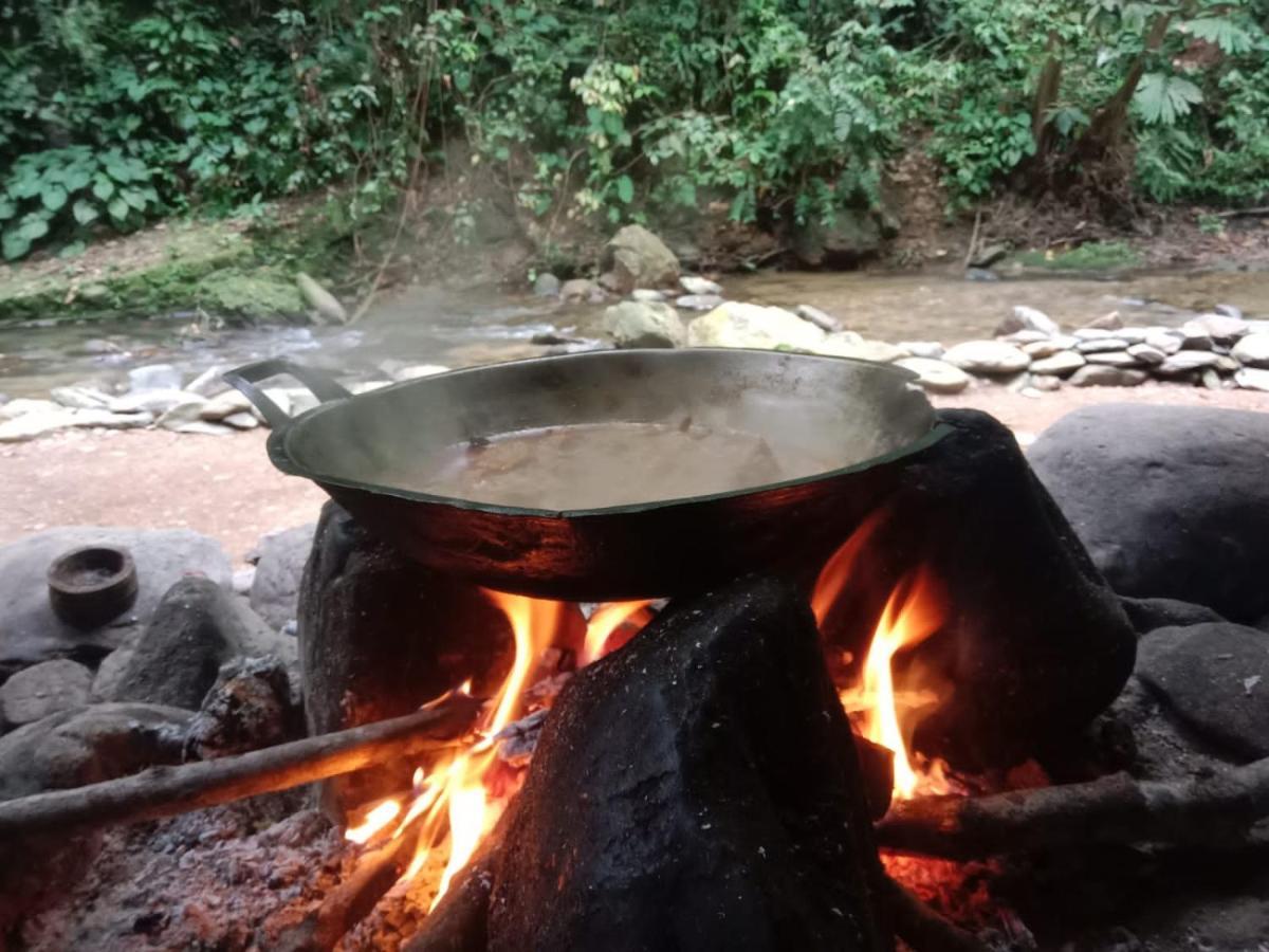 Lucky Bamboo'Bungalows-Resto And Orangutan Jungle Trekking Tours 부킷 라왕 외부 사진