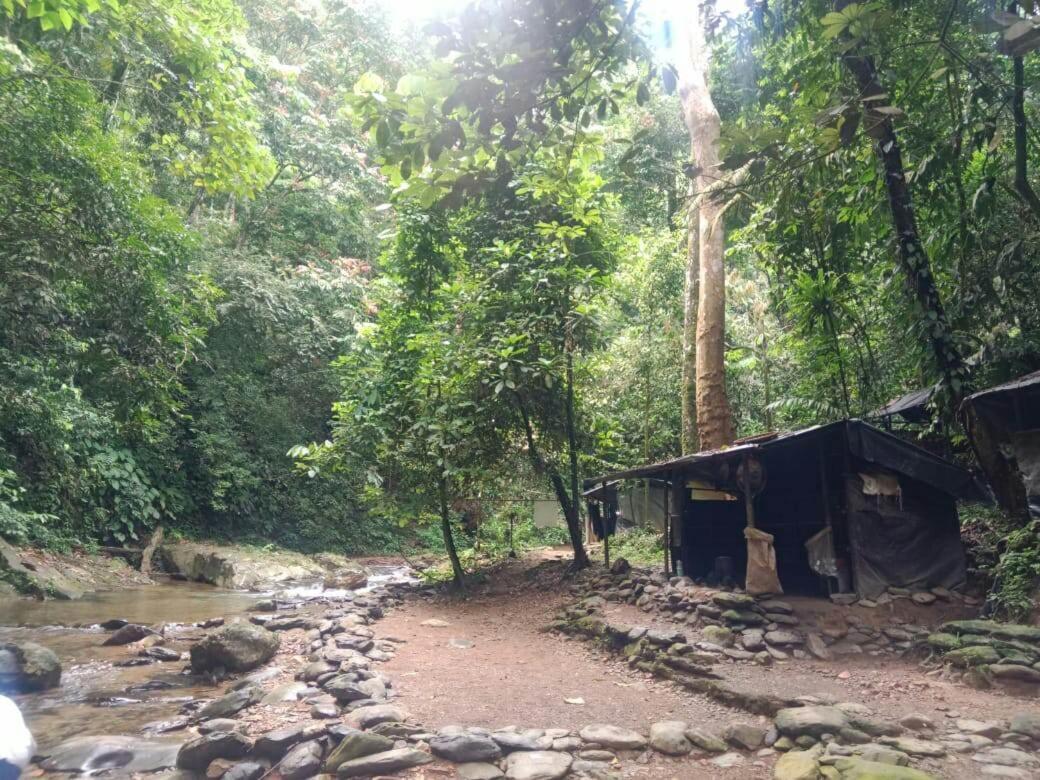 Lucky Bamboo'Bungalows-Resto And Orangutan Jungle Trekking Tours 부킷 라왕 외부 사진