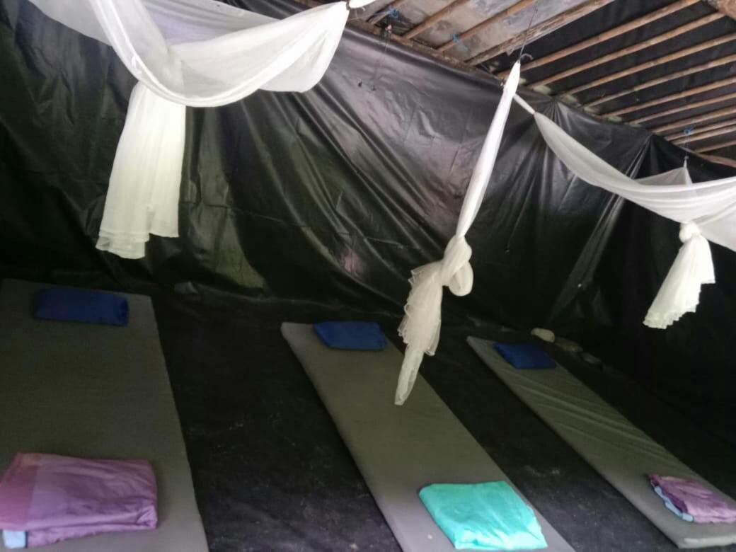 Lucky Bamboo'Bungalows-Resto And Orangutan Jungle Trekking Tours 부킷 라왕 외부 사진