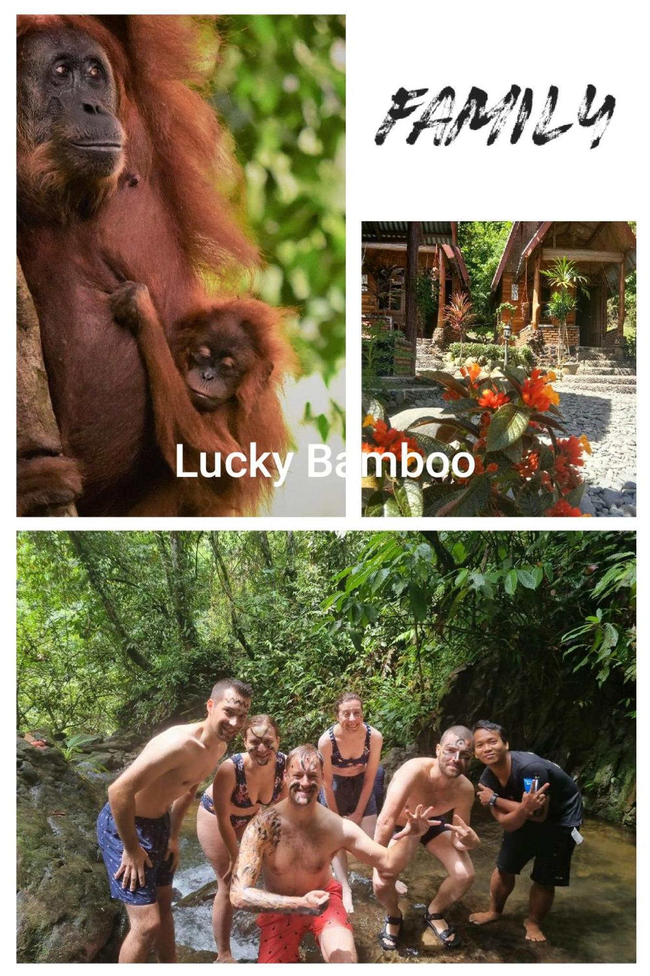 Lucky Bamboo'Bungalows-Resto And Orangutan Jungle Trekking Tours 부킷 라왕 외부 사진
