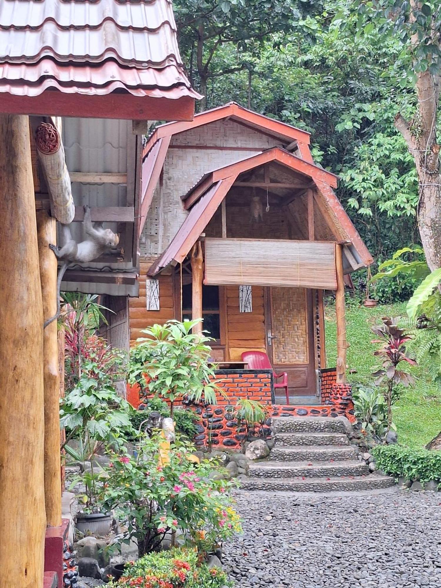 Lucky Bamboo'Bungalows-Resto And Orangutan Jungle Trekking Tours 부킷 라왕 외부 사진